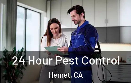  24 Hour Pest Control Hemet, CA