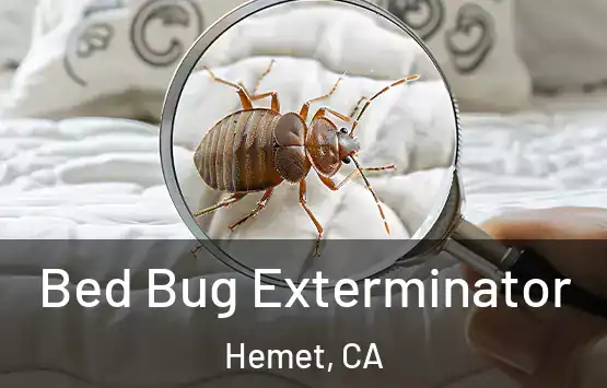 Bed Bug Exterminator Hemet, CA