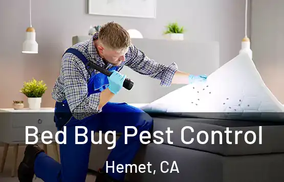  Bed Bug Pest Control Hemet, CA