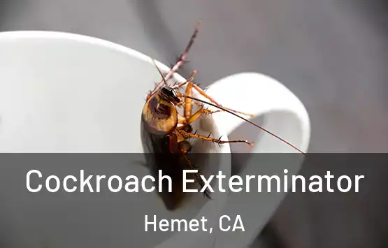  Cockroach Exterminator Hemet, CA