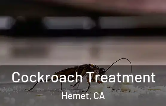  Cockroach Treatment Hemet, CA