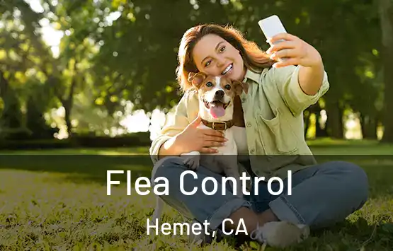  Flea Control Hemet, CA