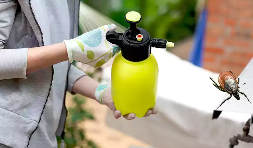 Ticks Pest Control Hemet, California