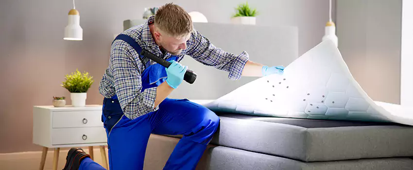 bed-bug-treatment in Hemet, CA