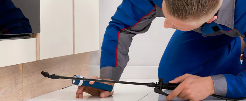 Ant Control for Bedrooms in Hemet, CA