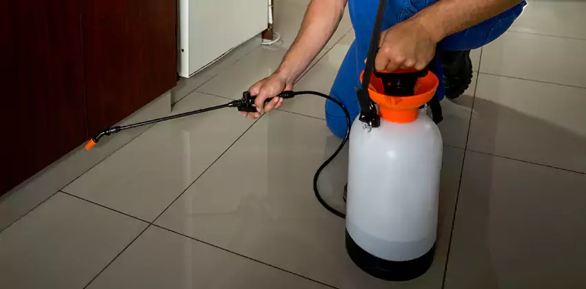 Commercial Pest Extermination for Offices in Hemet, CA