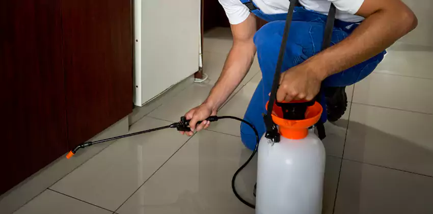 Commercial Flea Exterminator Company in Hemet, CA