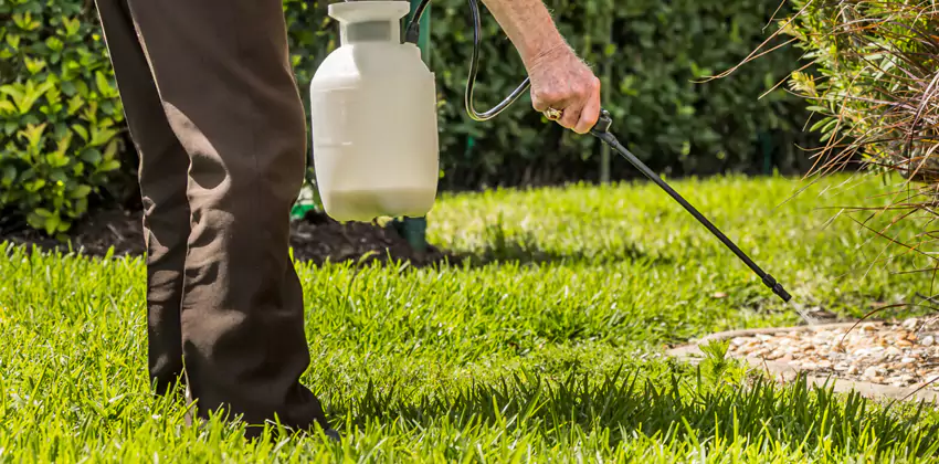 Grub Treatment for Bedrooms Hemet, CA