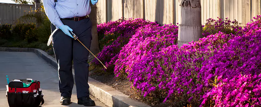 Pest Extermination for Bedrooms in Hemet, CA