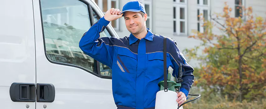 Organic and Chemical Spider Control Options Hemet, CA