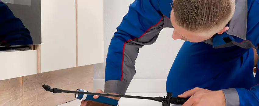 Termite Control for Children and Pets in Hemet, CA