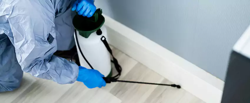 cockroach-exterminator in Hemet, CA