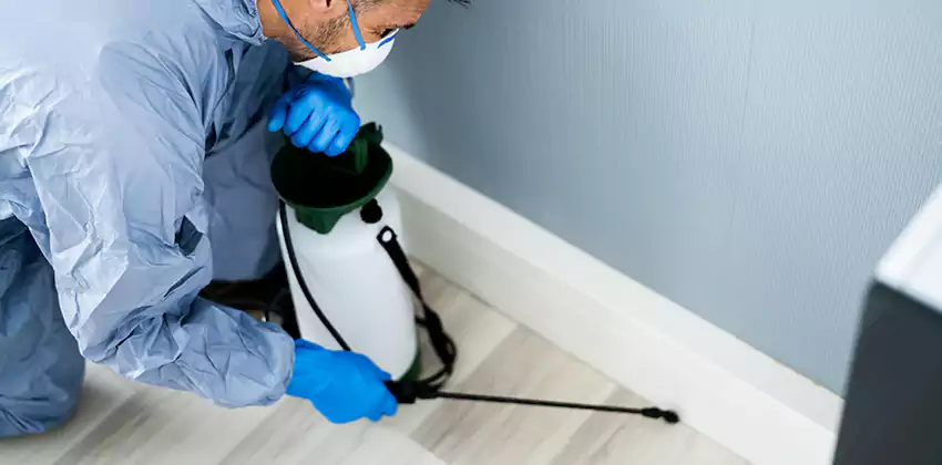 commercial-pest-exterminator in Hemet, CA