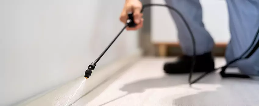 pest-exterminator in Hemet, CA