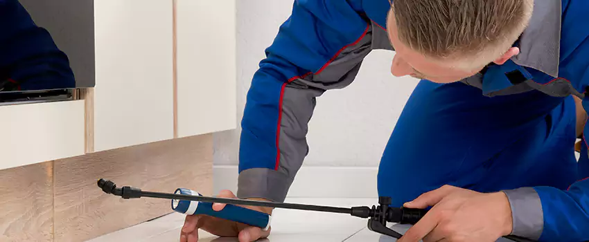 Pest Exterminator Company in Hemet, CA