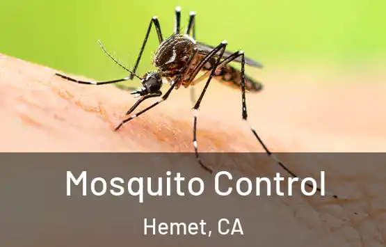  Mosquito Control Hemet, CA