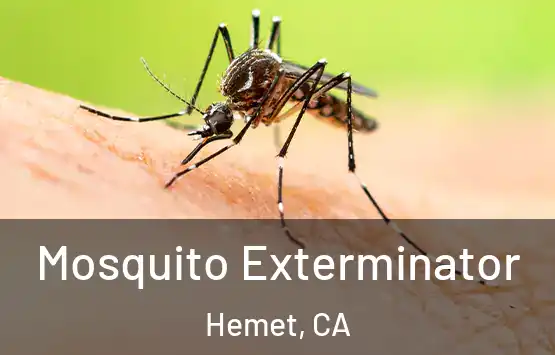  Mosquito Exterminator Hemet, CA