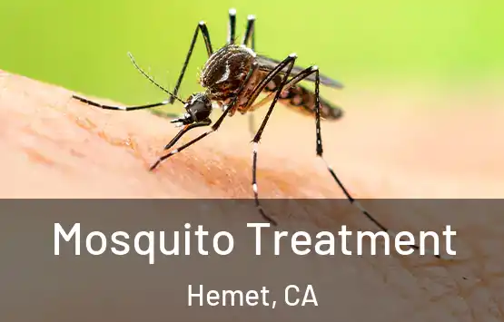  Mosquito Treatment Hemet, CA