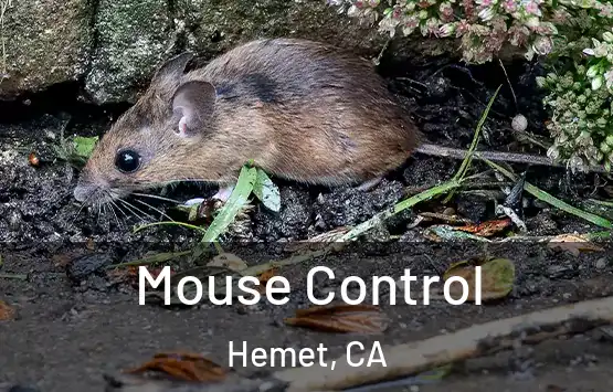  Mouse Control Hemet, CA