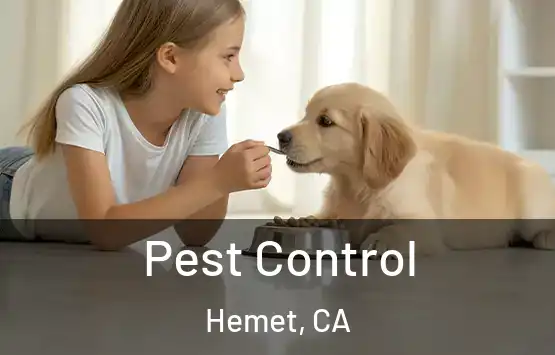 Pest Control Hemet, CA
