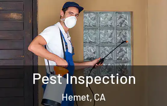  Pest Inspection Hemet, CA