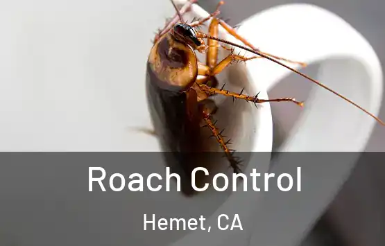  Roach Control Hemet, CA