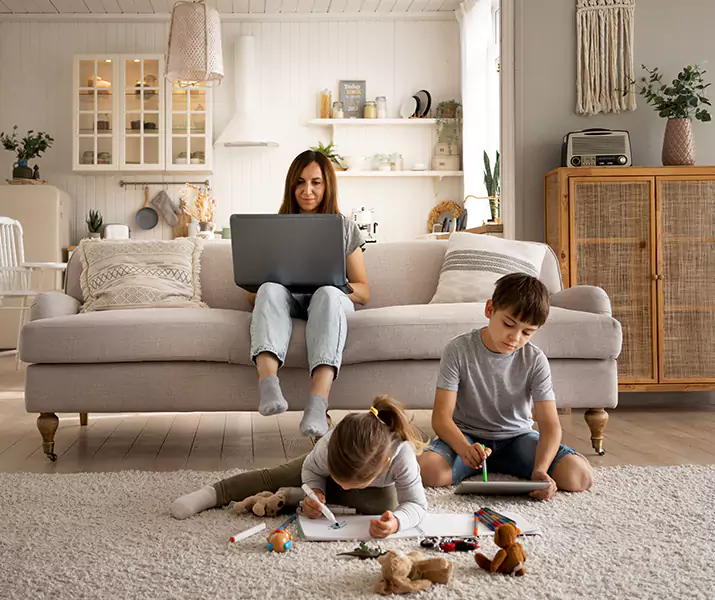 About Mice Control Hemet