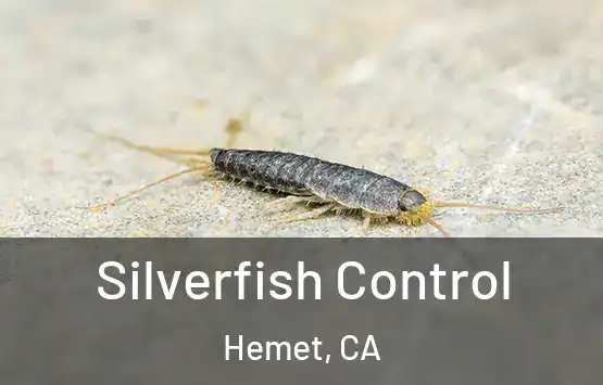  Silverfish Control Hemet, CA