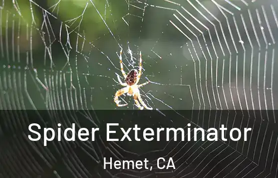  Spider Exterminator Hemet, CA