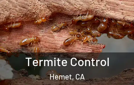 Termite Control Hemet, CA