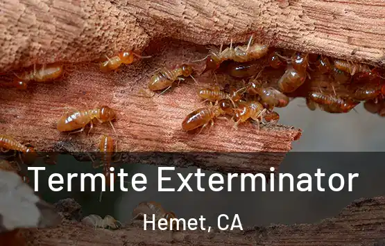  Termite Exterminator Hemet, CA