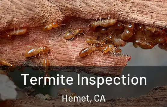  Termite Inspection Hemet, CA