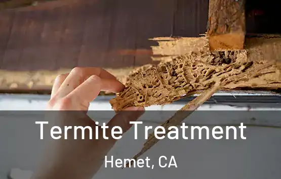  Termite Treatment Hemet, CA
