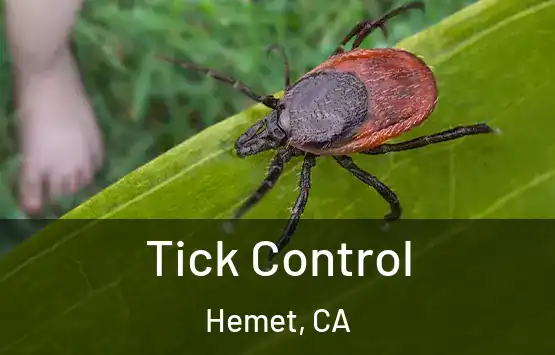  Tick Control Hemet, CA