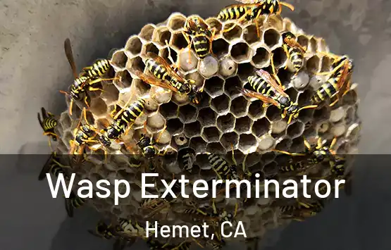  Wasp Exterminator Hemet, CA