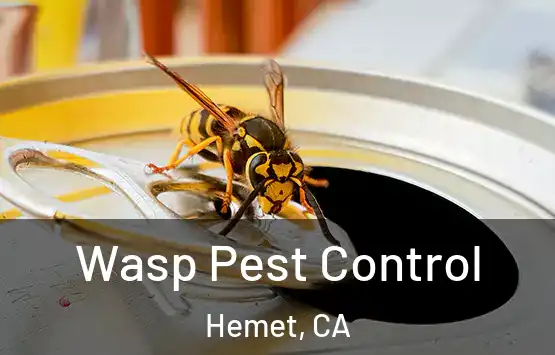  Wasp Pest Control Hemet, CA