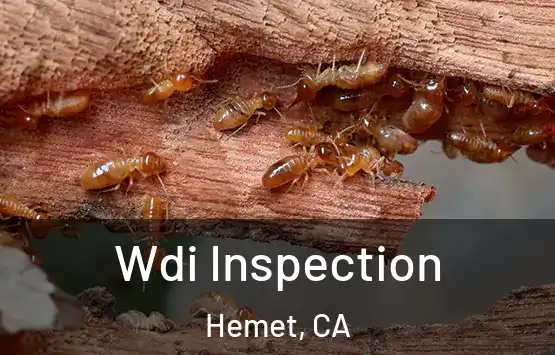  Wdi Inspection Hemet, CA